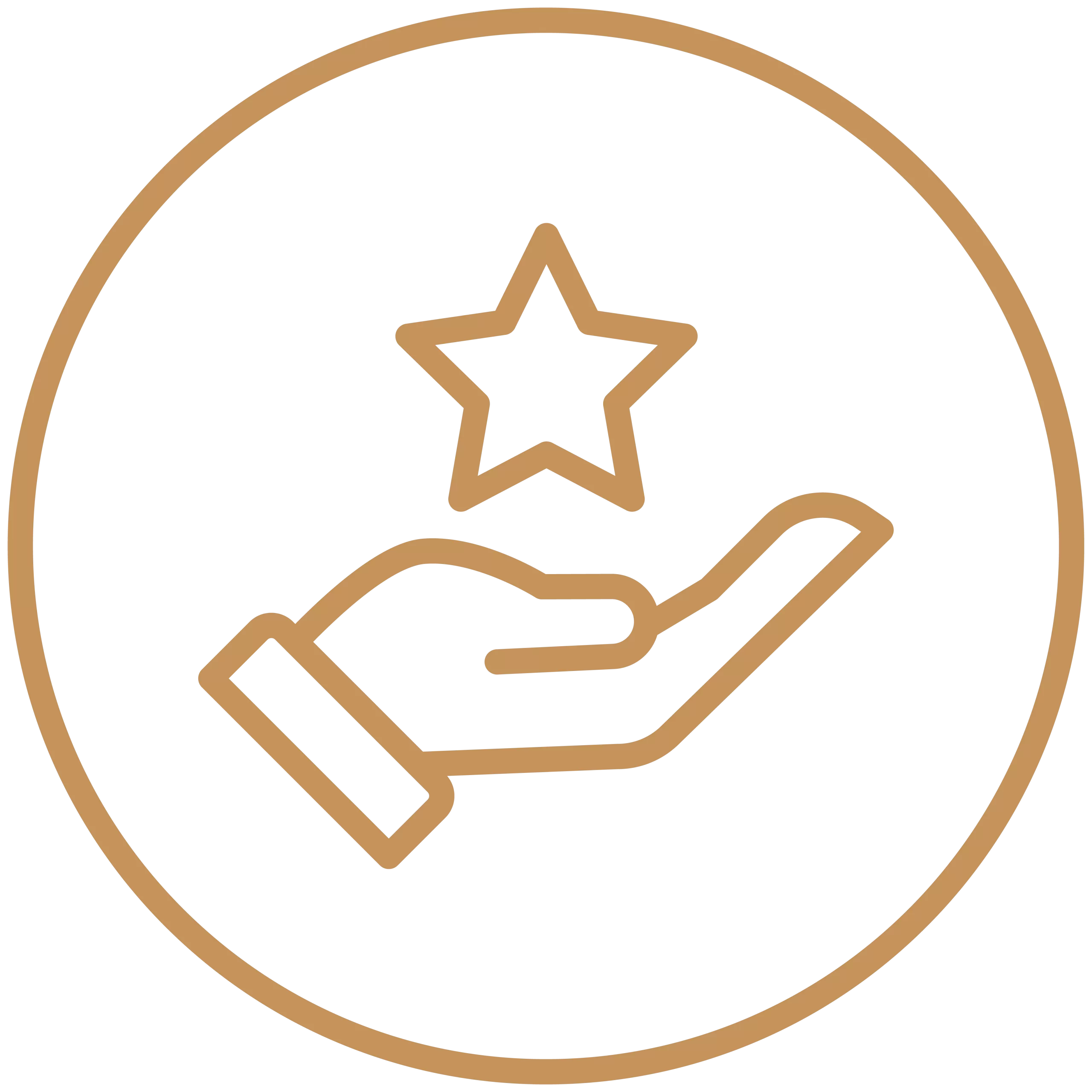 A circular icon of a hand holding a star, representing an excellent selection of private jets for sale.